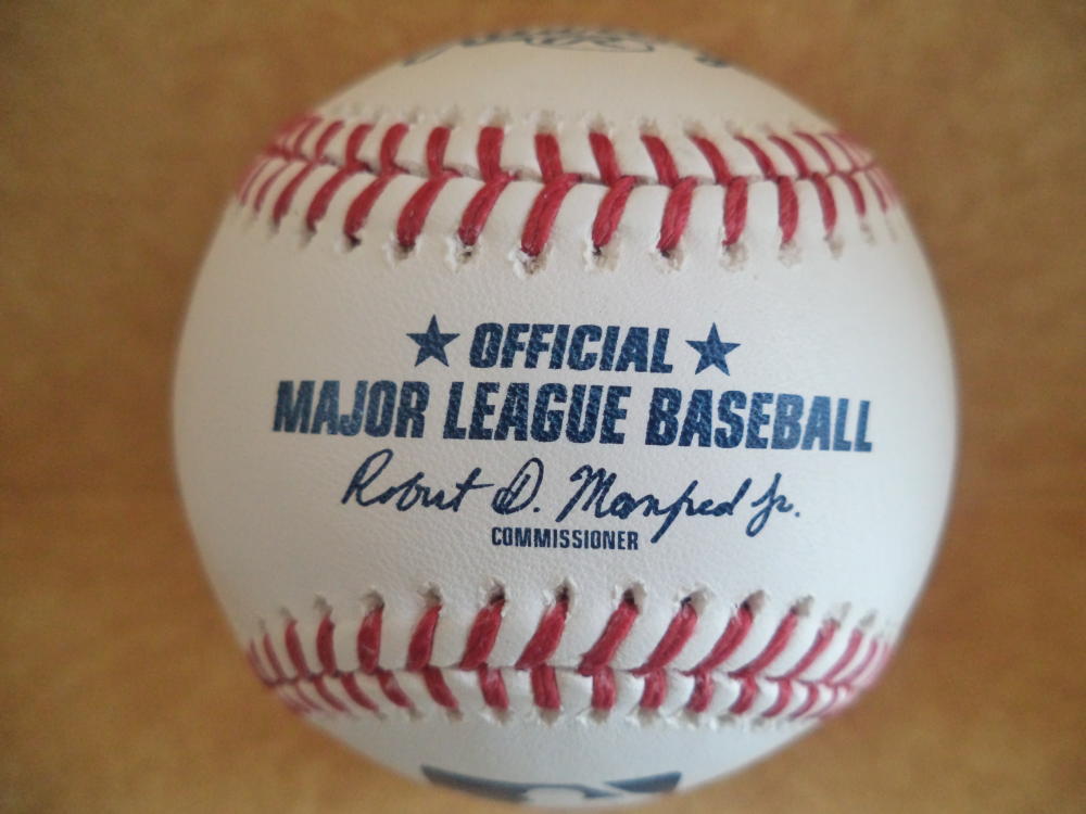 BRADY LAIL NEW YORK YANKEES SIGNED AUTOGRAPHED M.L. BASEBALL W/COA