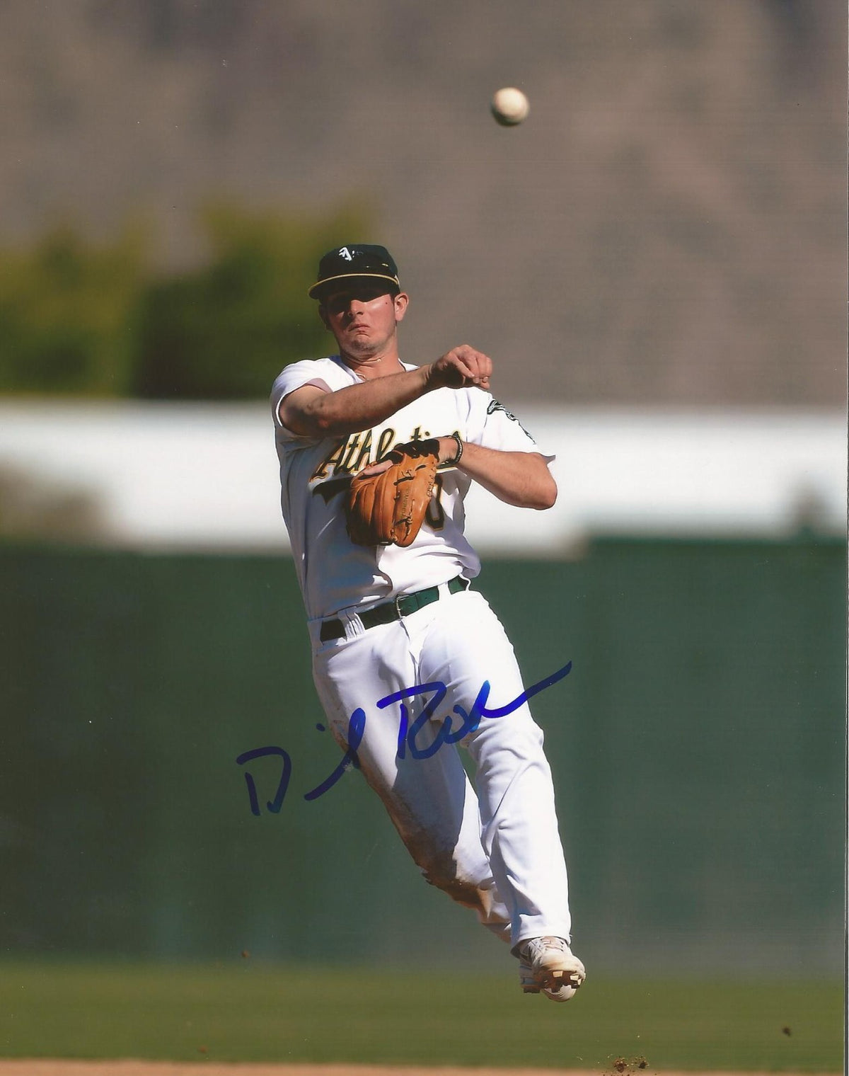 DANIEL ROBERTSON OAKLAND ATHLETICS AUTOGRAPHED SIGNED 8X10 PHOTO W/COA