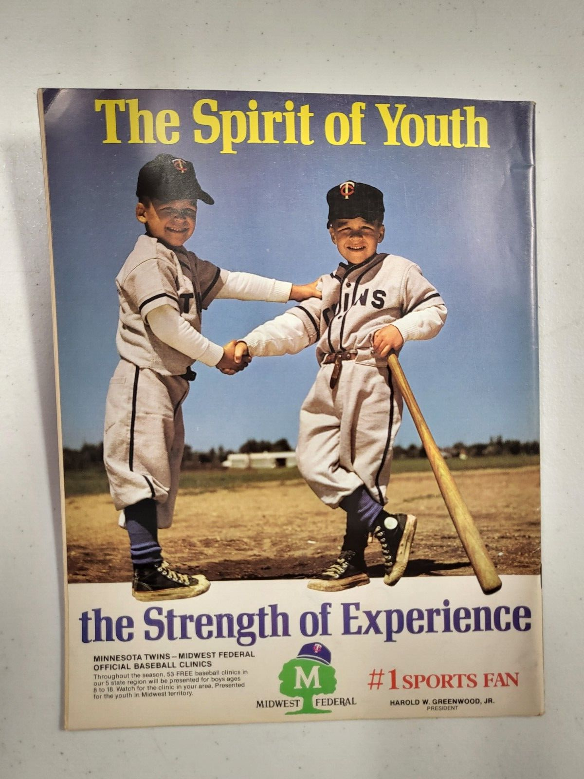 VINTAGE MLB BASEBALL MINNESOTA TWINS 1972 YEARBOOK PROGRAM RARE