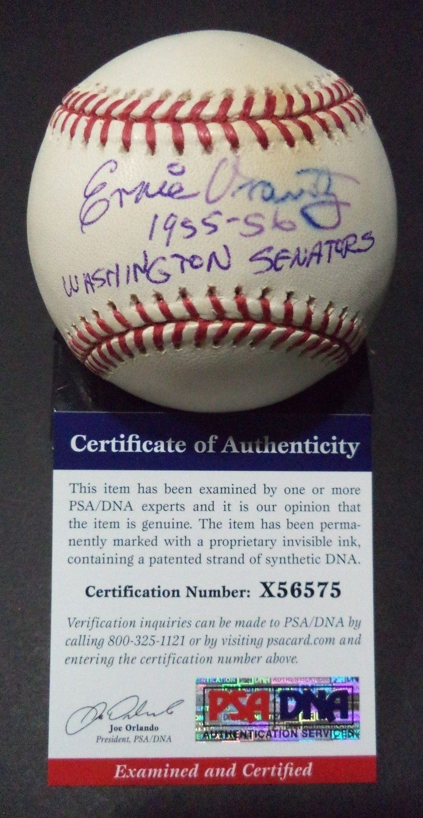 ERNIE ORAVETZ WASHINGTON SENATORS DECEASED SIGNED ML BASEBALL PSA/DNA COA X56575