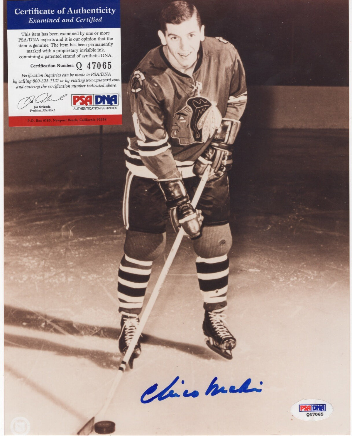 CHICO MAKI CHICAGO BLACK HAWKS  SIGNED  AUTOGRAPHED 8X10 PHOTO PSA  Q47065