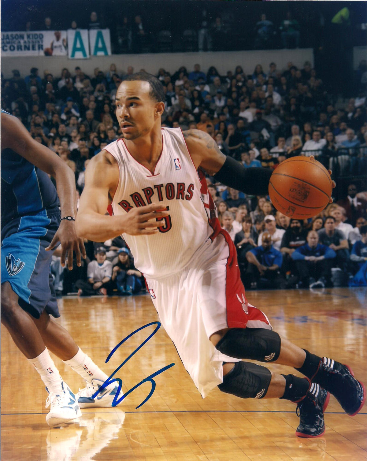 JERRYD BAYLESS TORONTO RAPTORS AUTOGRAPHED SIGNED 8X10 PHOTO W/COA
