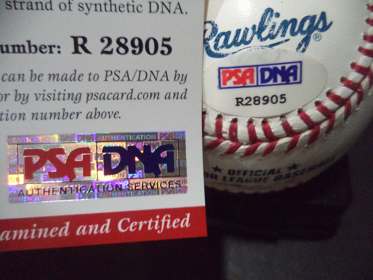 TYLER KOLEK MIAMI MARLINS SIGNED M.L BASEBALL ROOKIE GRAPH PSA/DNA COA #R28905