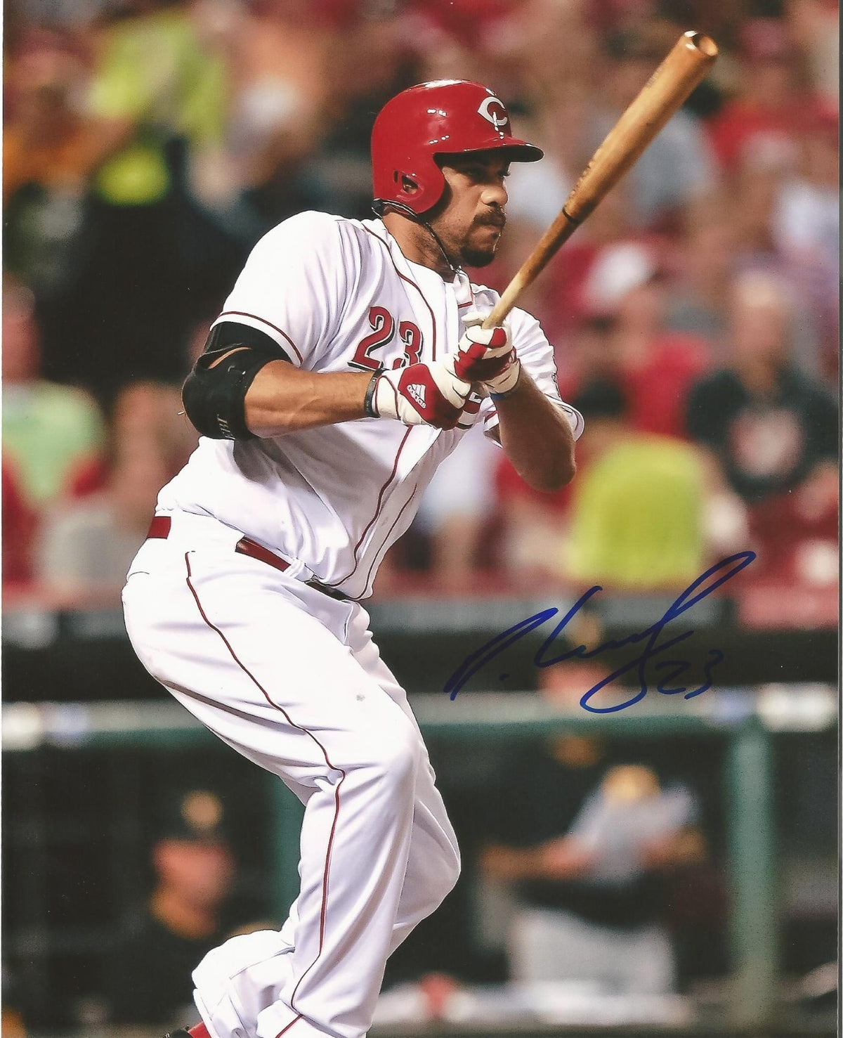 DANIEL LUTZ CINCINNATI REDS AUTOGRAPHED SIGNED 8X10 PHOTO W/COA