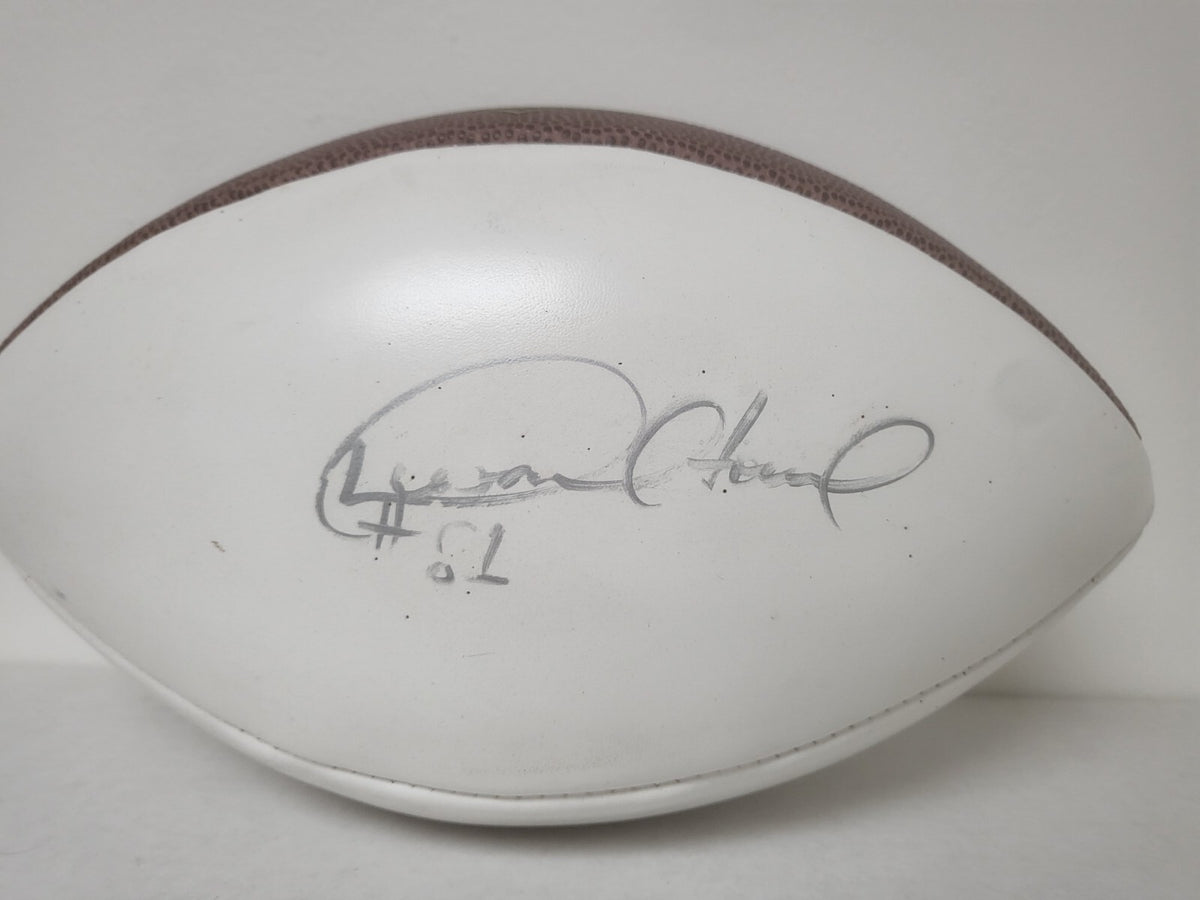 DESMOND HOWARD MICHIGAN SIGNED AUTOGRAPHED WHITE PANEL FOOTBALL W/COA