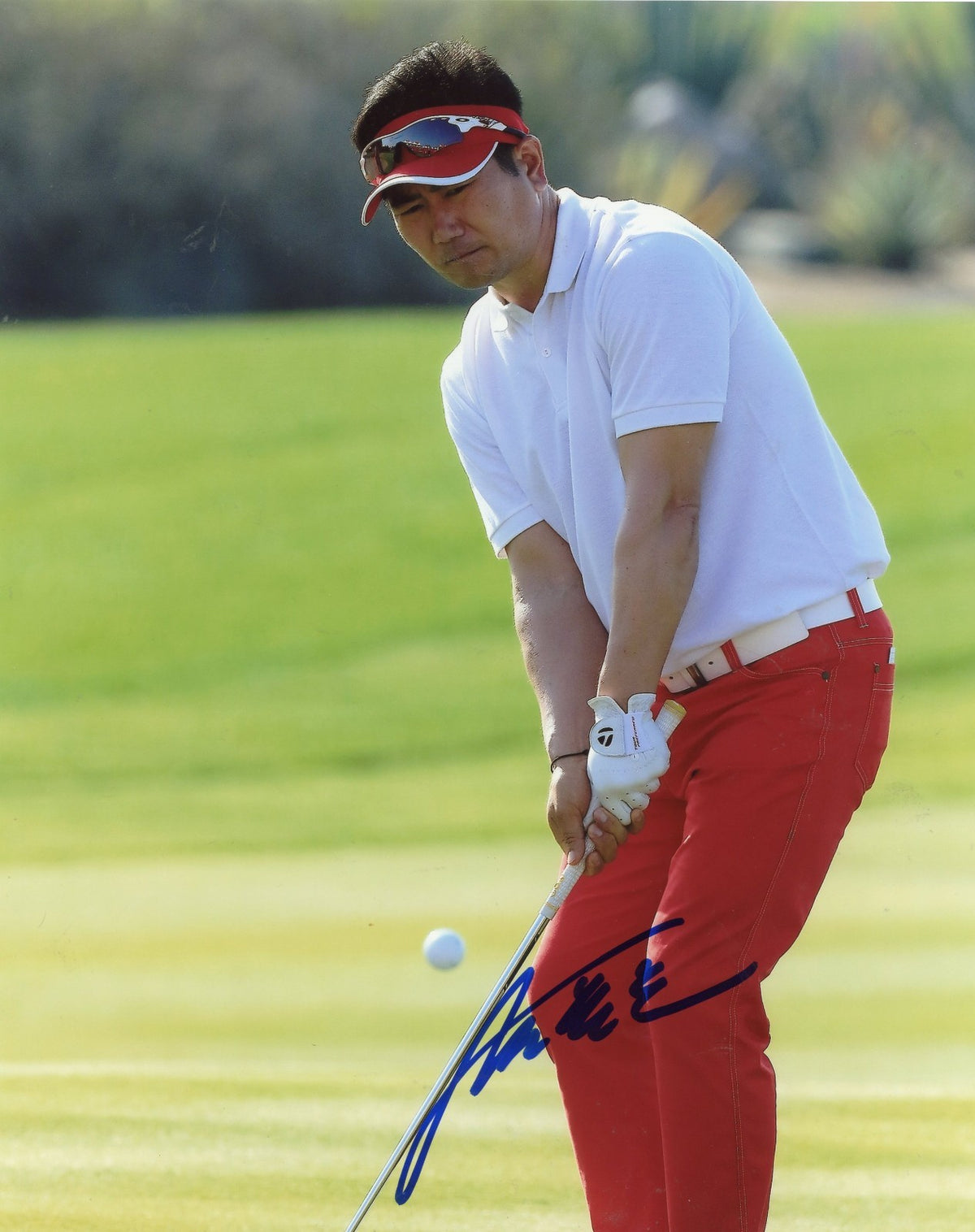 Y.E.  YANG      GOLF   PGA        AUTOGRAPHED   SIGNED  8X10   PHOTO