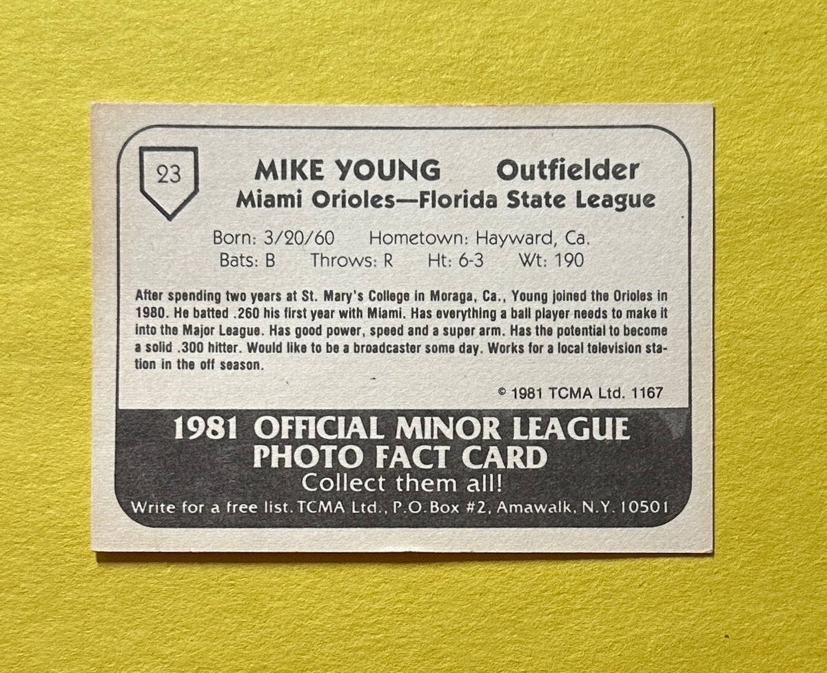 1981 TCMA MIKE YOUNG MINOR LEAGUE CARD #23 ORIOLES