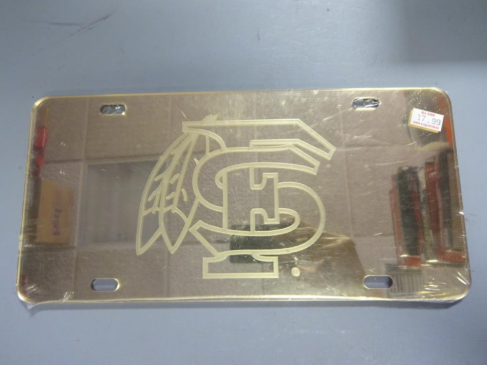 FLORIDA STATE MIRRORED GOLD LISCENCE PLATE 