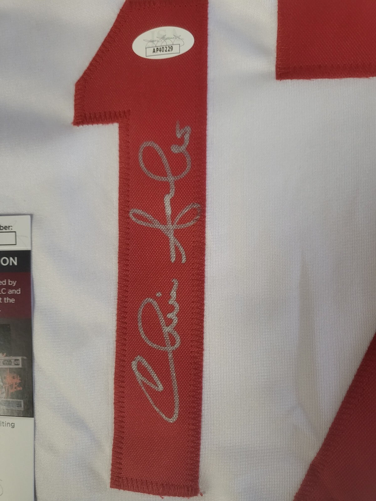 CHRIS SABO #17 CINCINNATI REDS 88 NL ROY AUTO SIGNED CUSTOM JERSEY XL JSA COA