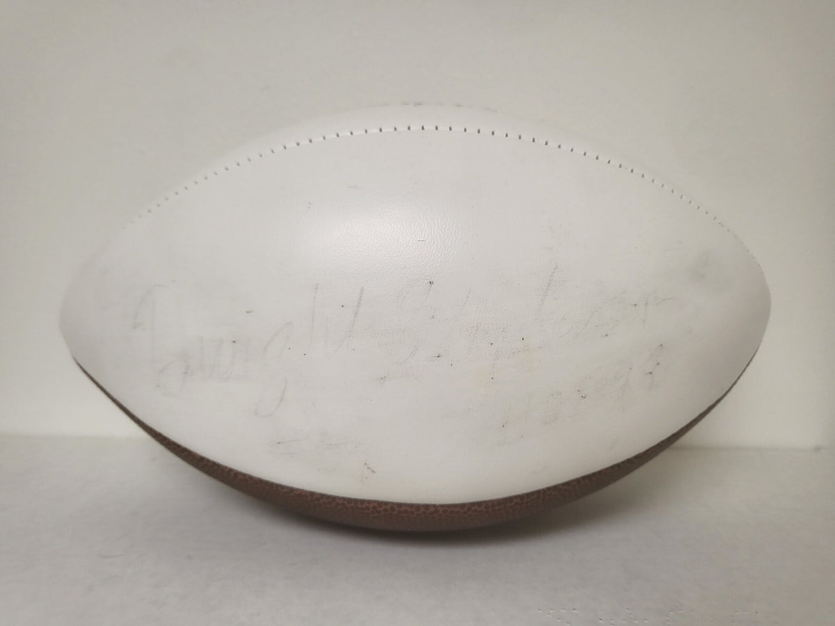 DESMOND HOWARD MICHIGAN SIGNED AUTOGRAPHED WHITE PANEL FOOTBALL W/COA