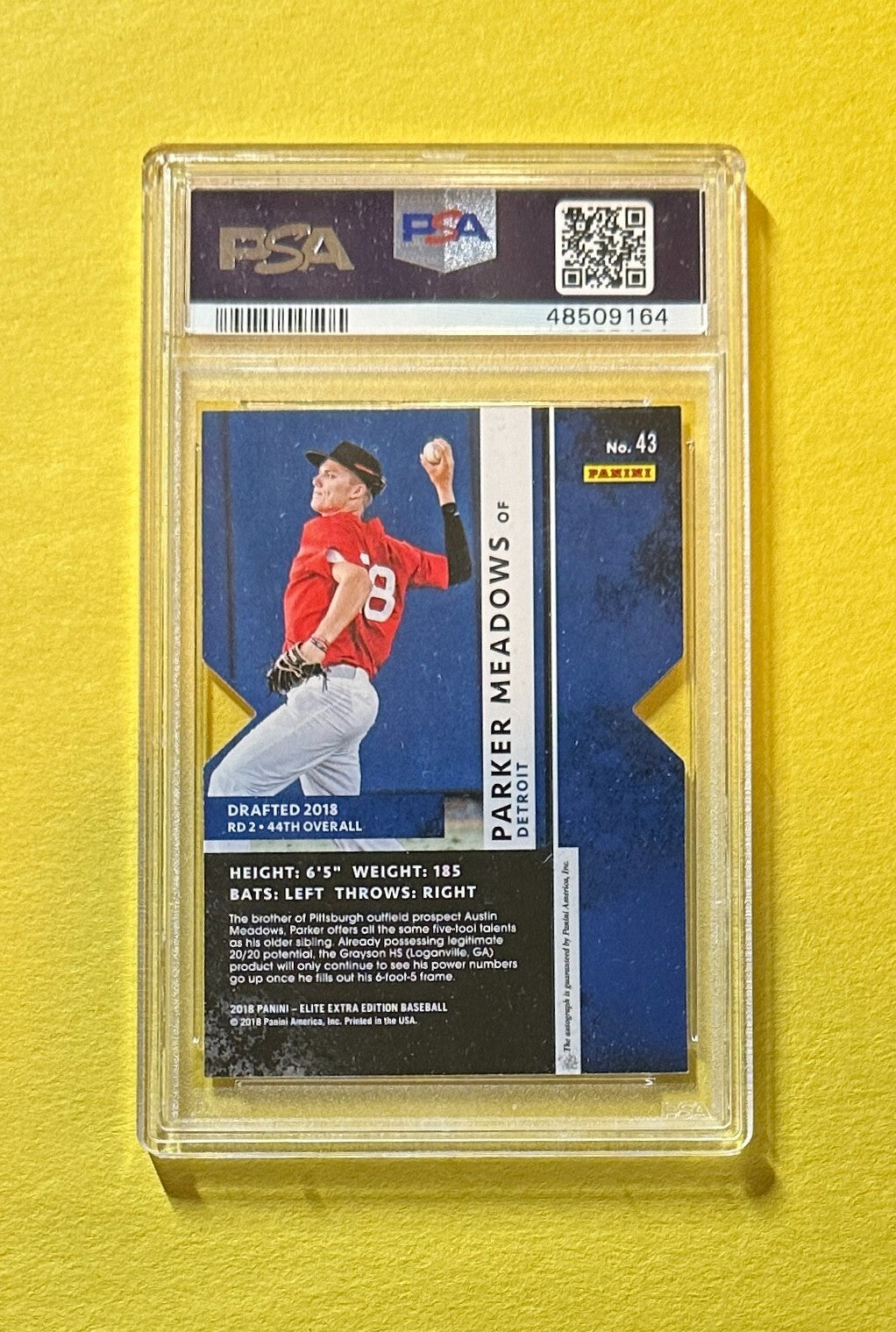 2019 PANINI ELITE EXTRA EDITION PARKER MEADOWS STATUS DIE CUT AUTO /25 #43 PSA 9
