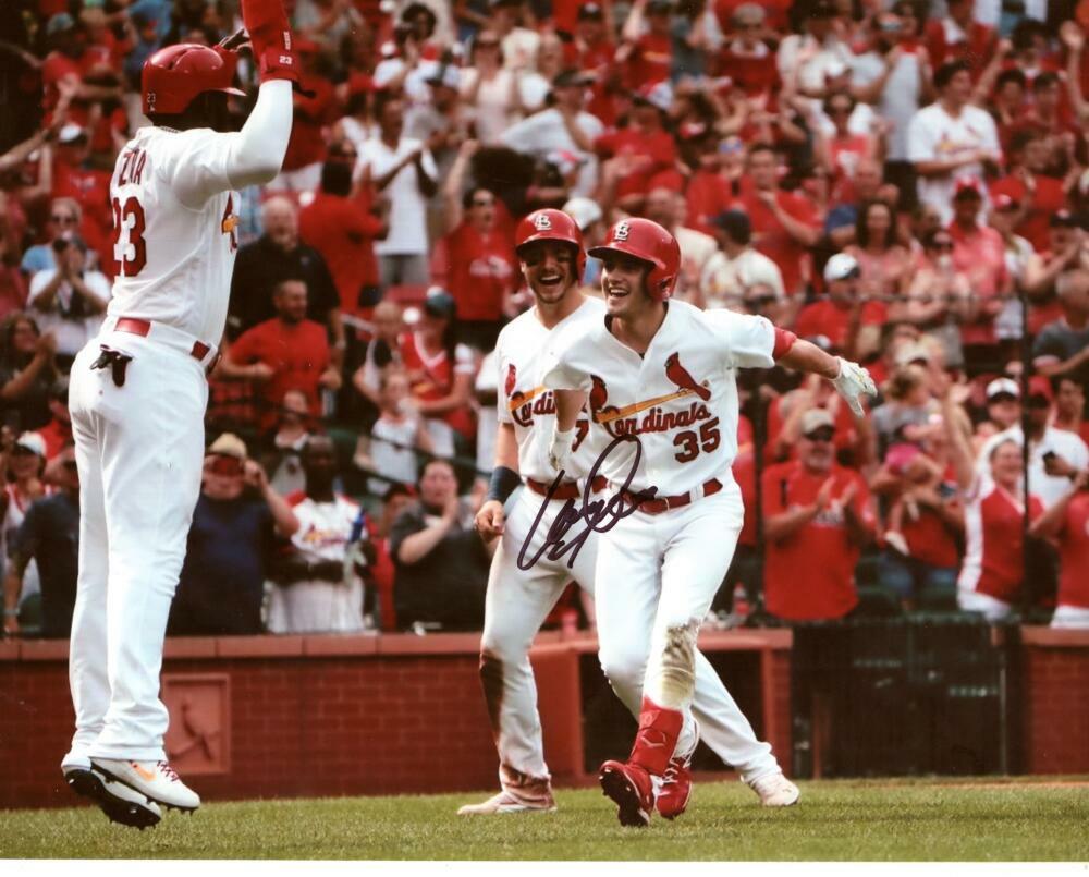 LANE THOMAS  ST. LOUIS CARDINALS CELEBRATE SIGNED 8X10 PHOTO W/ COA