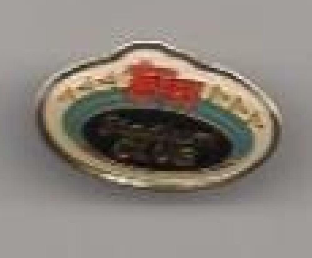 TOPPS STADIUM CLUB RARE PIN