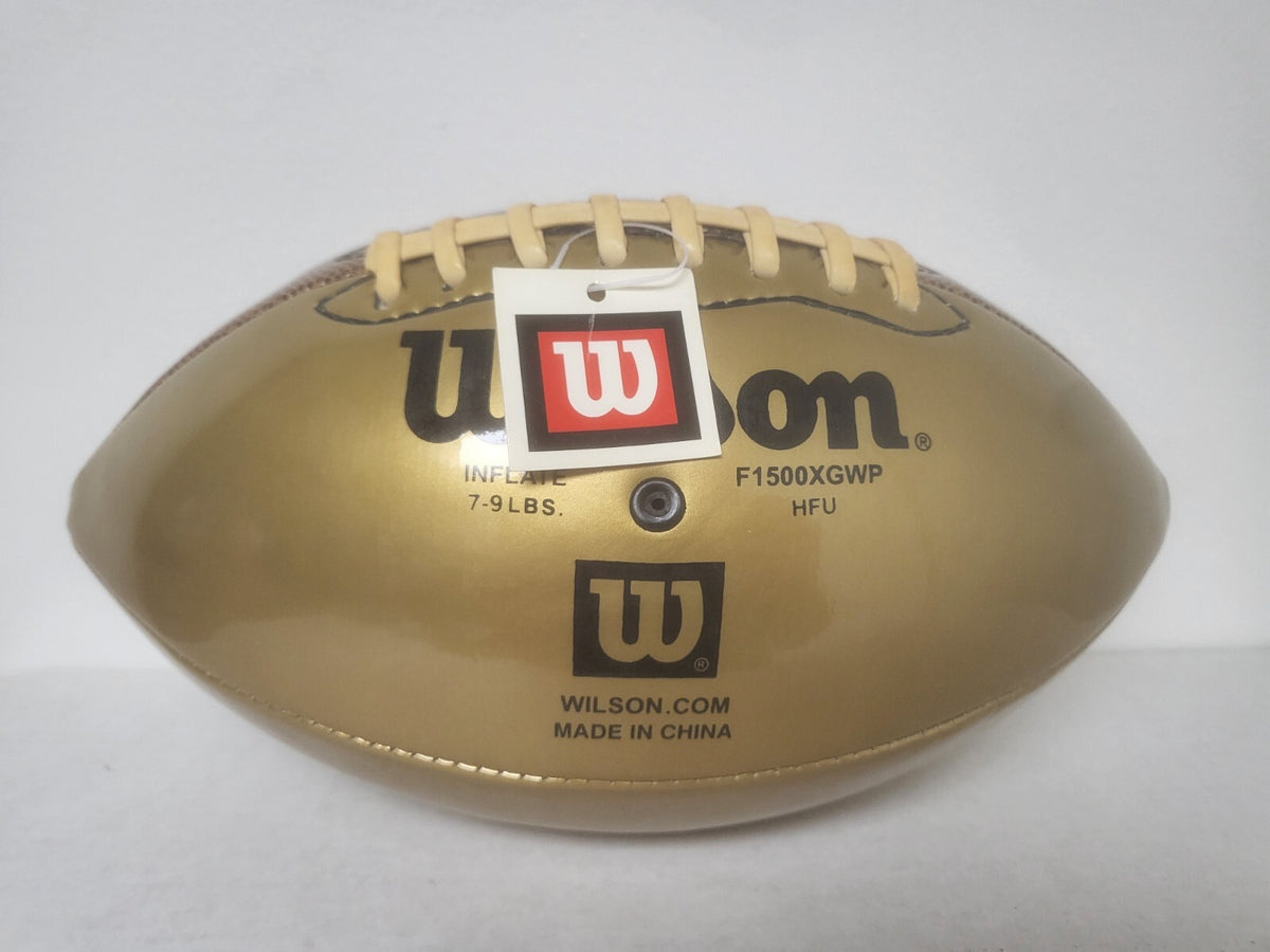 JOE THEISMANN REDSKINS SB XVII CHAMPS SIGNED AUTOGRAPH GOLD WILSON FOOTBALL COA