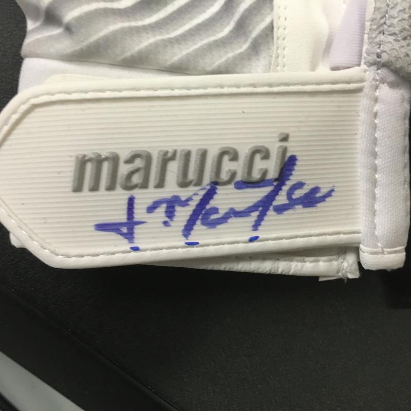 JORGE MATEO YANKEES SIGNED MARUCCI GAME MODEL GLOVES PAIR W/COA