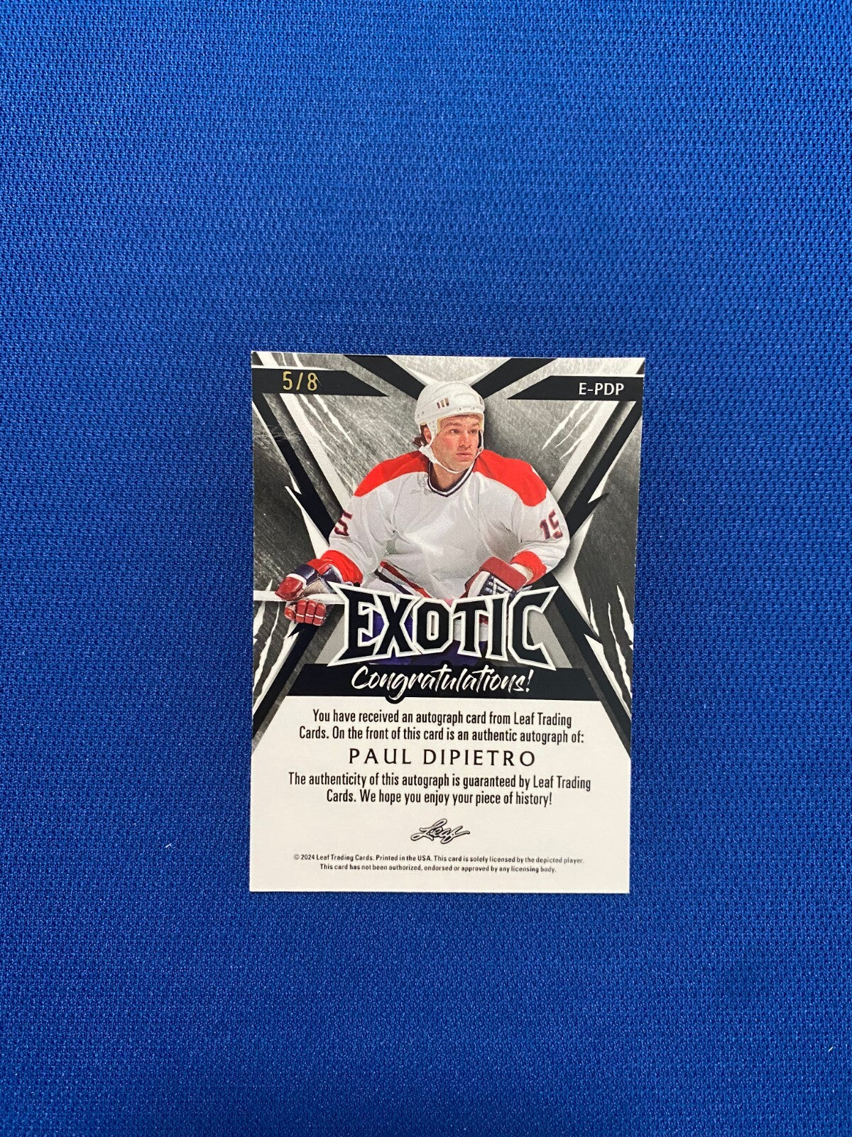 2024 LEAF EXOTIC PAUL DIPIETRO 93 CUP SIGNED AUTOGRAPHED CARD #E-PDP 5/8