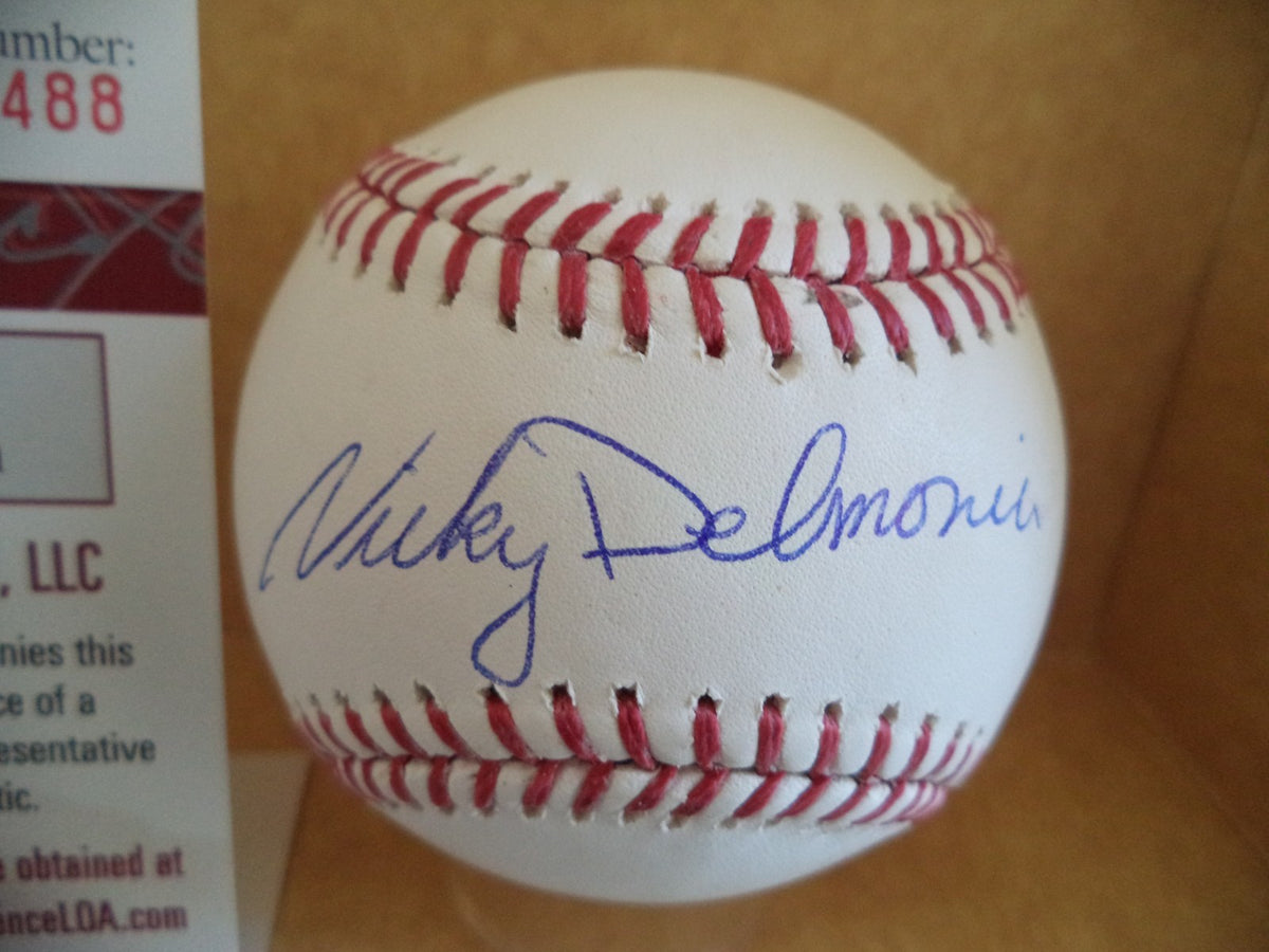 NICKY DELMONICO CHICAGO WHITE SOX SIGNED AUTOGRAPH ML BASEBALL JSA WP970488