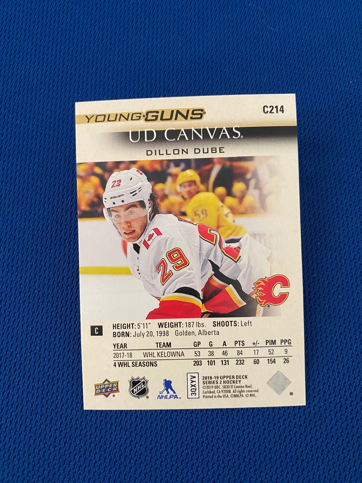 2018-19 UPPER DECK SERIES 2 CANVAS DILLON DUBE YOUNG GUNS ROOKIE RC CARD #C214