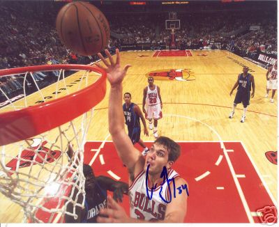 AARON GRAY CHICAGO BULLS SIGNED 8X10 PHOTO W/COA