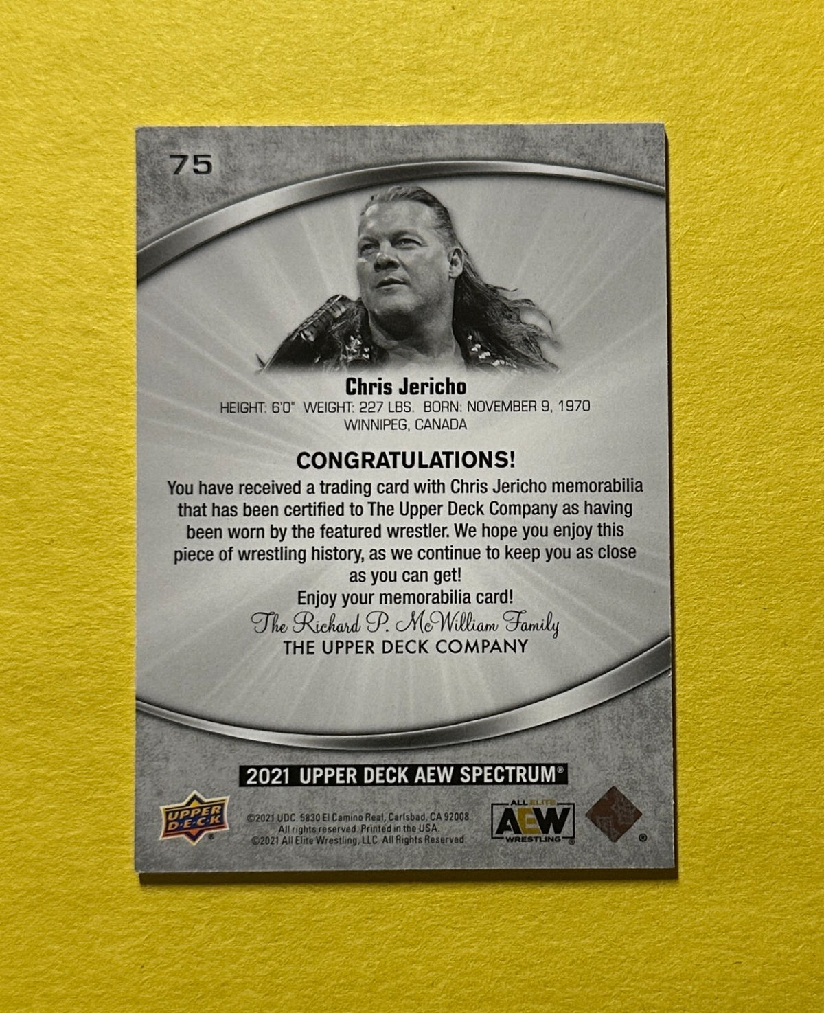 2021 UPPER DECK AEW SPECTRUM CHRIS JERICHO RELIC #75