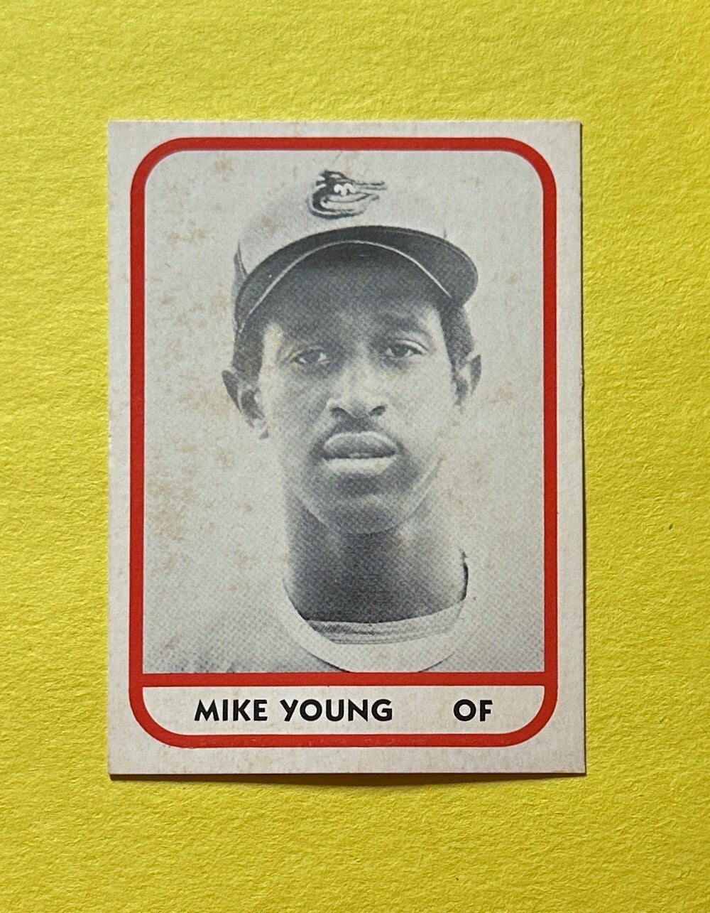 1981 TCMA MIKE YOUNG MINOR LEAGUE CARD #23 ORIOLES