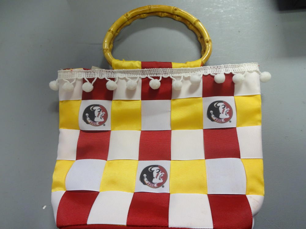 FLORIDA STATE SEMINOLES BAG LOOK BRAND NEW 