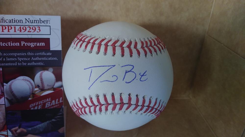 DAVID BOTE CHICAGO CUBS SIGNED AUTOGRAPHED M.L. BASEBALL JSA WITNESS WPP149293