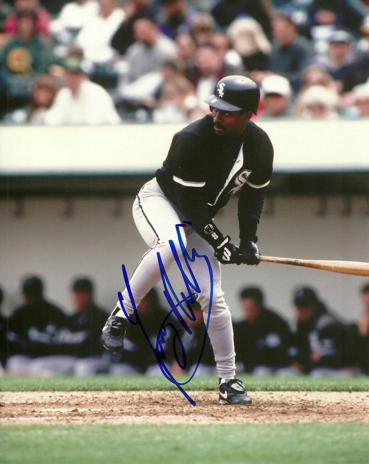 TONY PHILLIPS CHICAGO WHITE SOX SIGNED AUTOGRAPHED 8x10 PHOTO W/COA