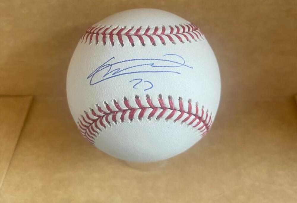 VLADIMIR GUERRERO JR. TORONTO BLUE JAYS SIGNED AUTO M.L. BASEBALL JSA  SS25898