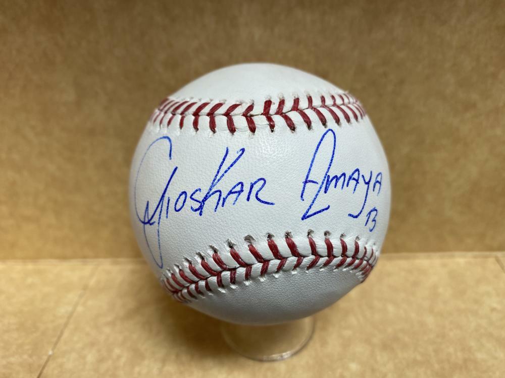 GIOSKAR AMAYA CHICAGO CUBS SIGNED AUTOGRAPHED M.L. BASEBALL W/ COA